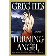 Turning Angel book cover